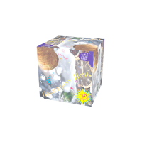 Новогодняя ночь Салют купить в Ветлуге | vetluga.salutsklad.ru