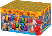 Новогодние цветы Фейерверк купить в Ветлуге | vetluga.salutsklad.ru