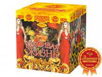 Красивая жизнь Фейерверк купить в Ветлуге | vetluga.salutsklad.ru