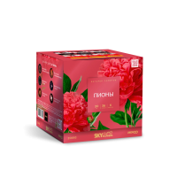 Пионы Салют купить в Ветлуге | vetluga.salutsklad.ru