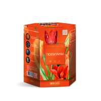 Тюльпаны Салют купить в Ветлуге | vetluga.salutsklad.ru