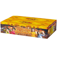 Красота с гарантией Фейерверк купить в Ветлуге | vetluga.salutsklad.ru