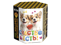 Счастье есть! Салют купить в Ветлуге | vetluga.salutsklad.ru