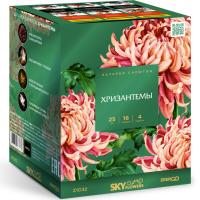 Хризантемы Фейерверк купить в Ветлуге | vetluga.salutsklad.ru