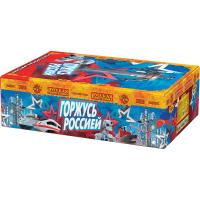 Горжусь Россией! Фейерверк купить в Ветлуге | vetluga.salutsklad.ru