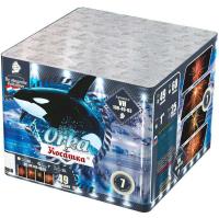 Косатка Фейерверк купить в Ветлуге | vetluga.salutsklad.ru