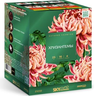 Хризантемы Фейерверк купить в Ветлуге | vetluga.salutsklad.ru